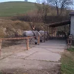 Pensjonat Lestiny