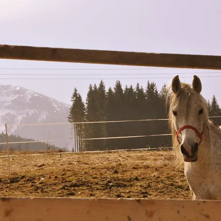 Penzión pre hostí Lestiny