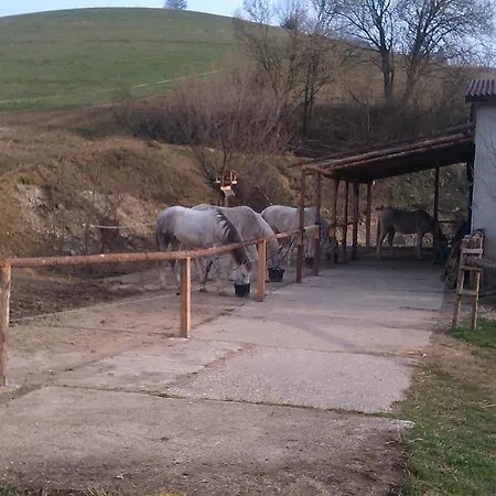 Penzión pre hostí Lestiny