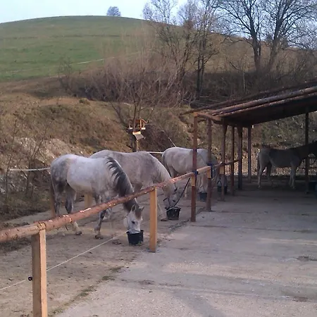 Penzión pre hostí Lestiny 3*