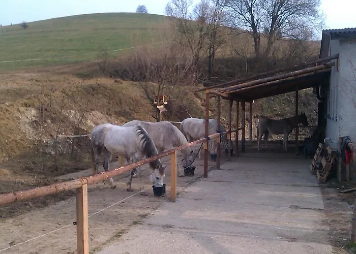 Gasthuis Lestiny 3*